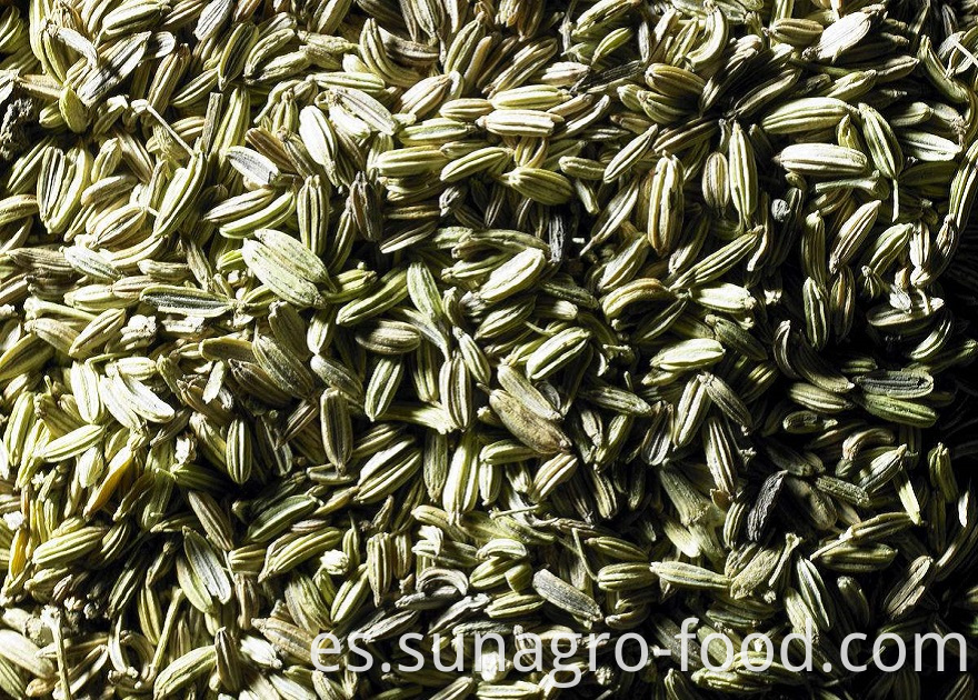 Organic Non-Polluting Fennel Seeds